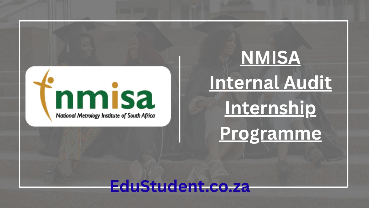 NMISA Internal Audit Internship Programme