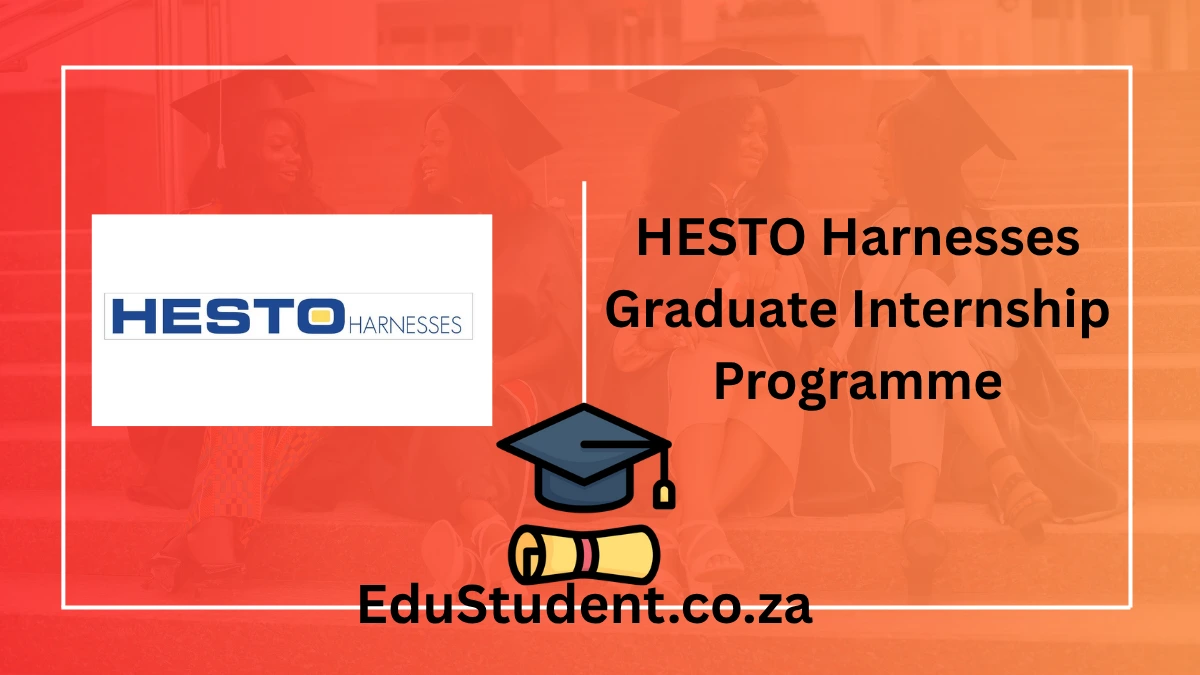 HESTO Harnesses Graduate Internship Programme