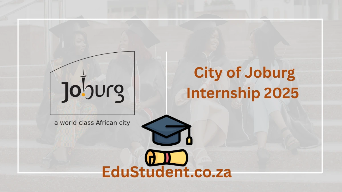 City of Joburg Internship 2025