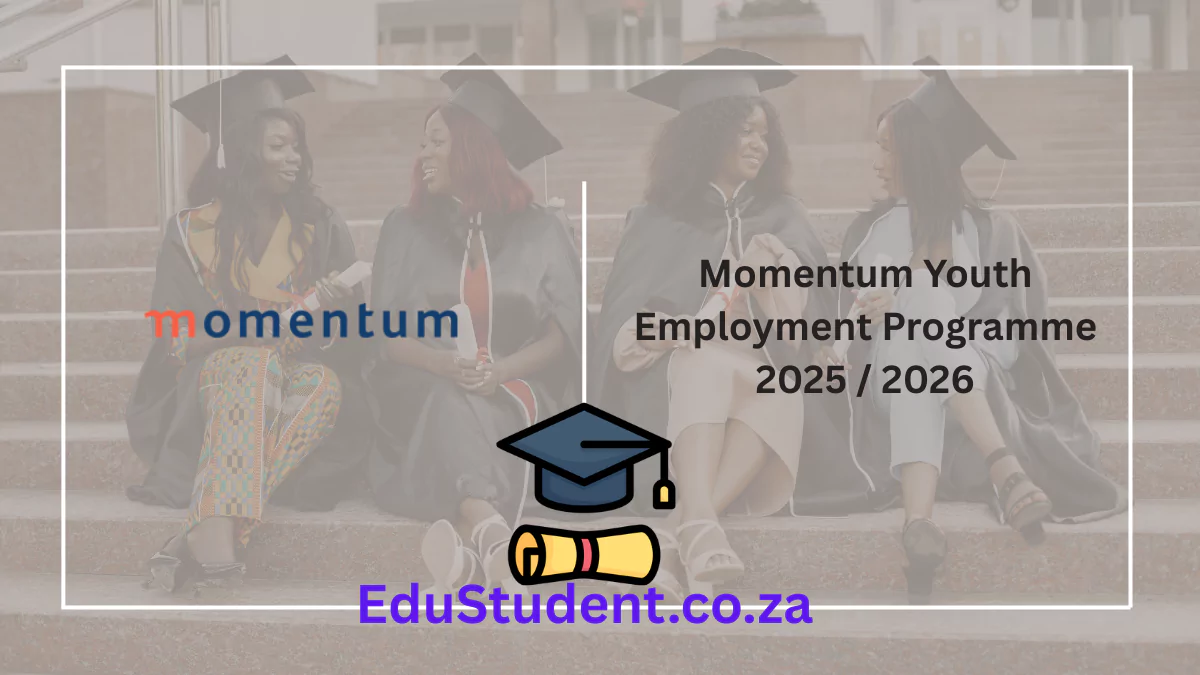 Momentum Youth Employment Programme 2025 / 2026