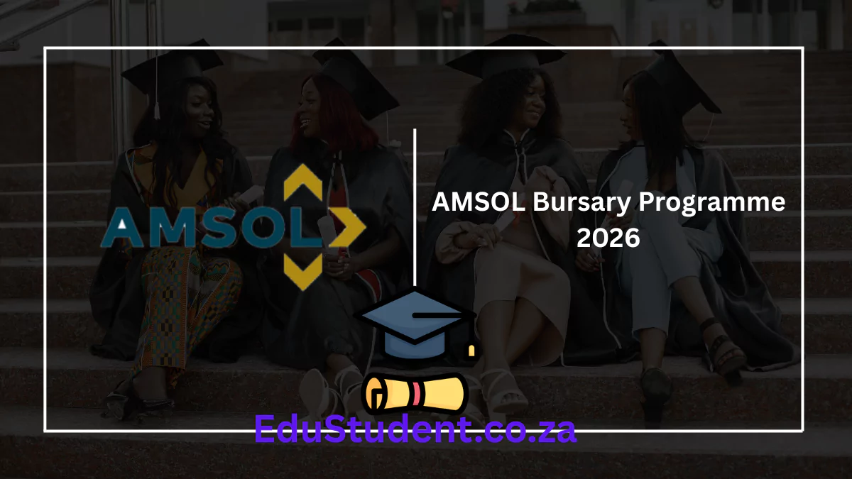 AMSOL Bursary Programme 2026