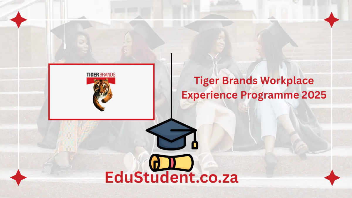 Tiger Brands Workplace Experience Programme 2025