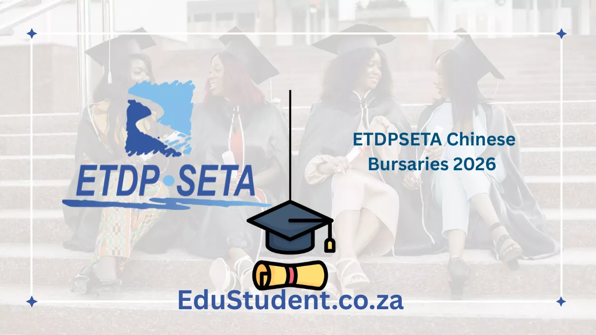 ETDPSETA Chinese Bursaries 2026