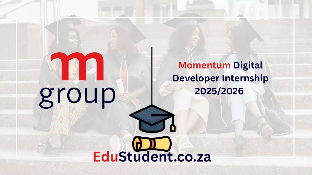 Momentum Digital Developer Internship 2025/2026
