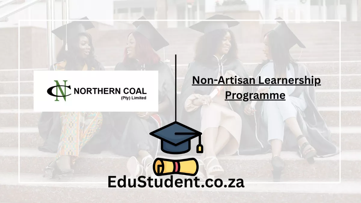 Non-Artisan Learnership Programme