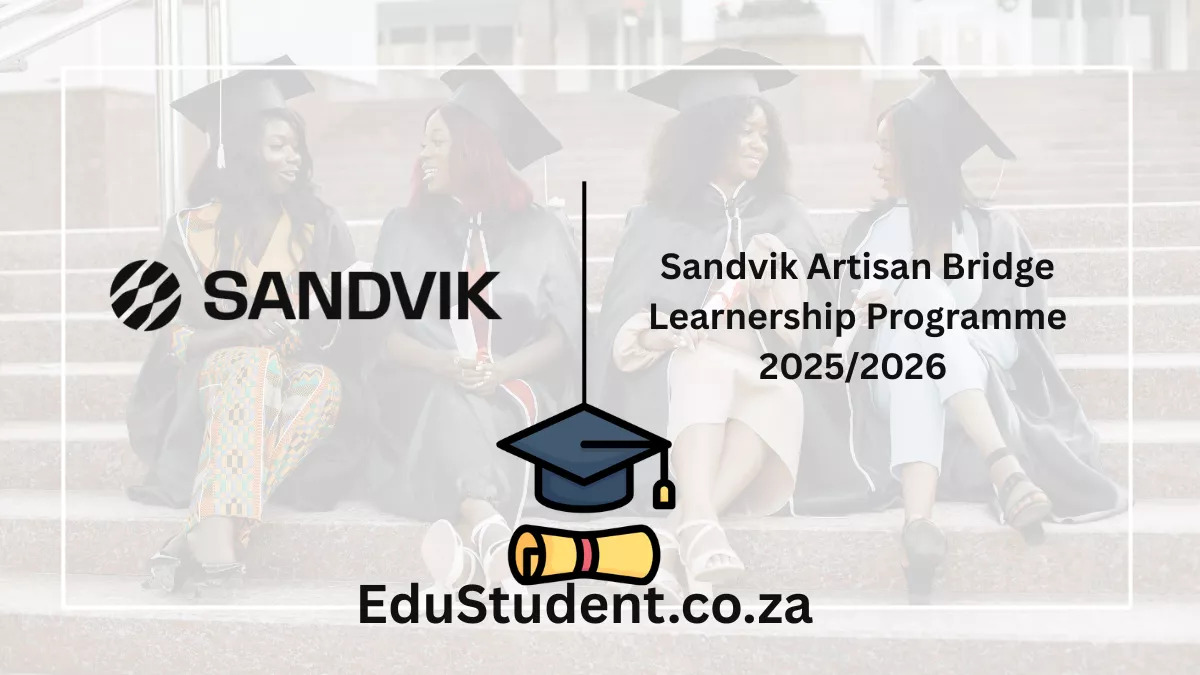 Sandvik Artisan Bridge Learnership Programme 2025/2026