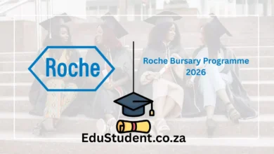 Roche Bursary Programme 2026