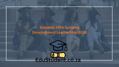 Dynamic DNA Systems Development Learnership 2026