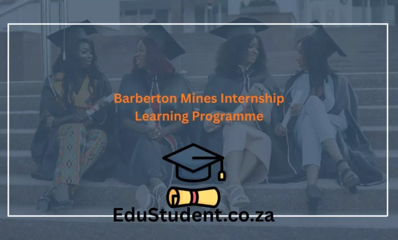 Barberton Mines Internship Learning Programme
