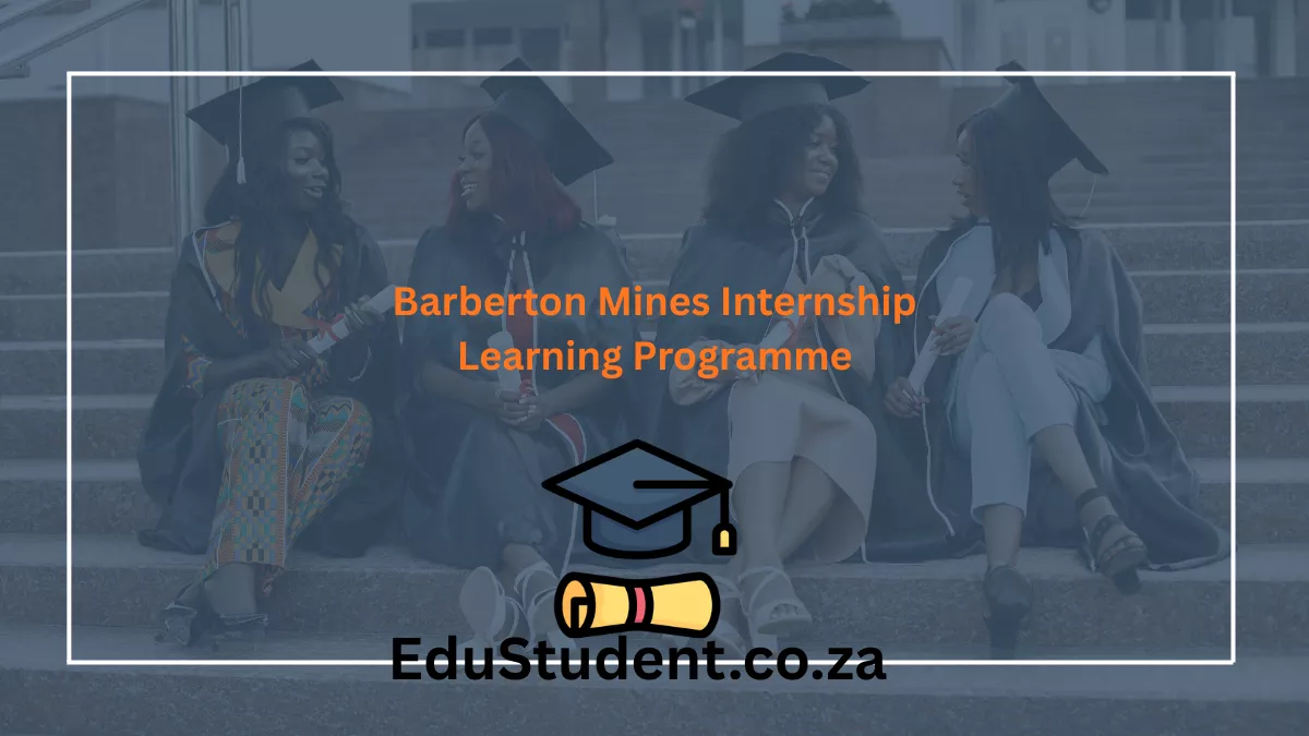 Barberton Mines Internship Learning Programme