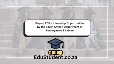 Project 20K – Internship Opportunities by the South African Department of Employment & Labour