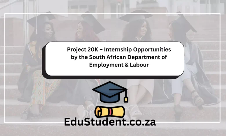 Project 20K – Internship Opportunities by the South African Department of Employment & Labour