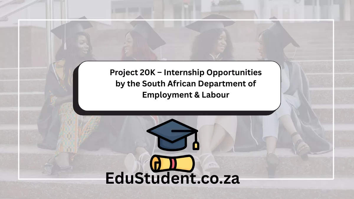 Project 20K – Internship Opportunities by the South African Department of Employment & Labour