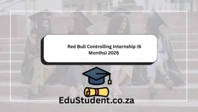 Red Bull Controlling Internship (6 Months) 2026