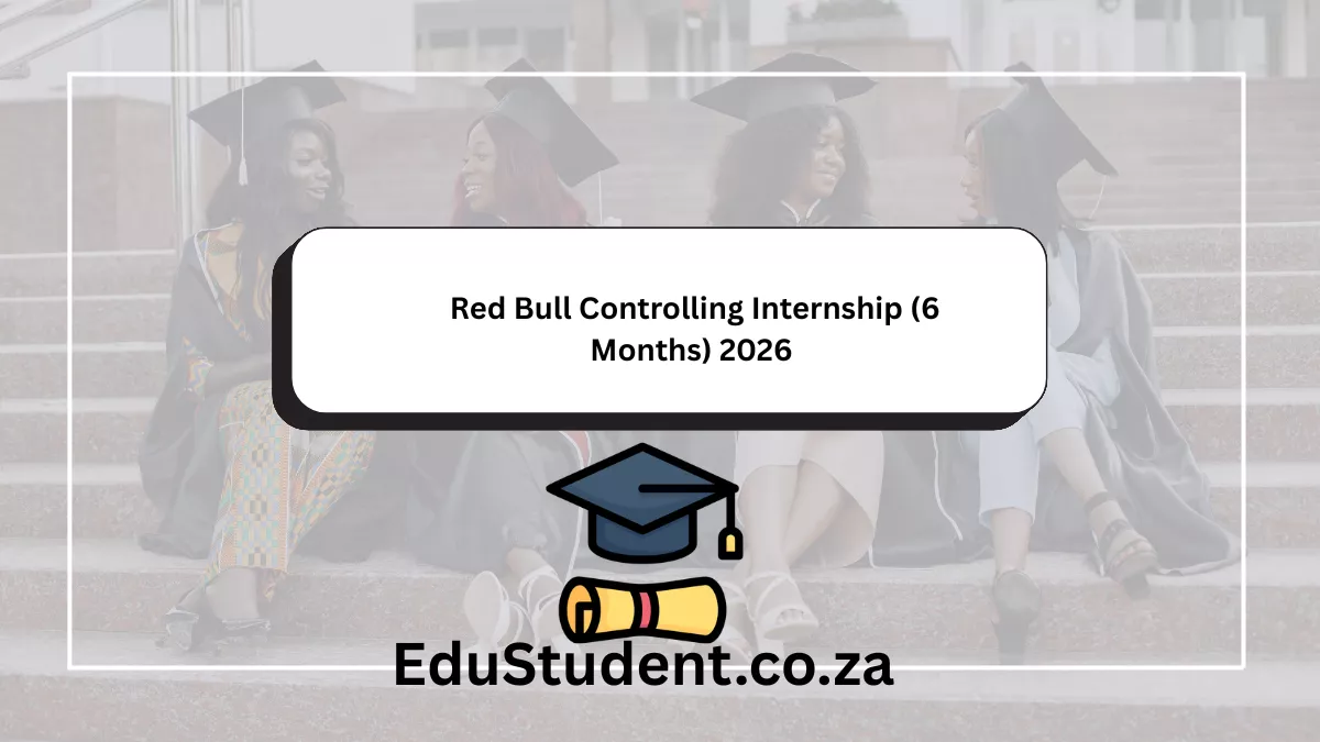 Red Bull Controlling Internship (6 Months) 2026