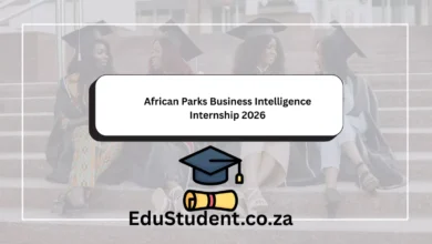 African Parks Business Intelligence Internship 2026